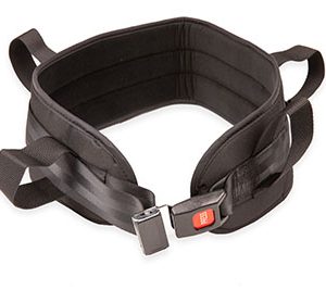 Padded Transfer Belt Auto Buckle